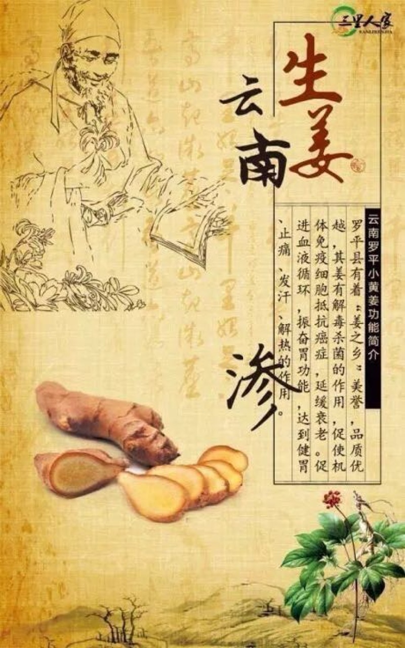 姜茶
