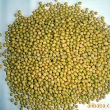 芽豆食用