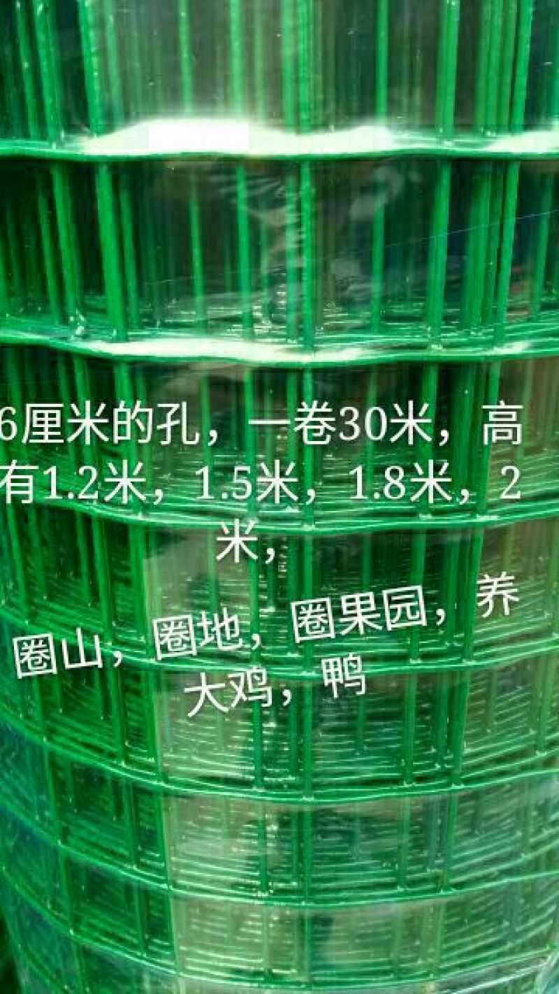 荷兰网50*50mm