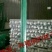 荷兰网50*50mm