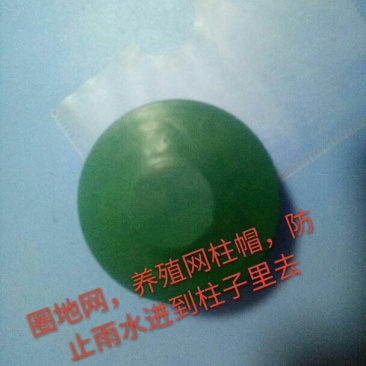 荷兰网50*50mm