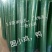 荷兰网50*50mm