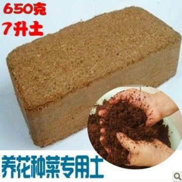 育苗基质椰砖线上交易椰砖多肉养花种菜育苗专用