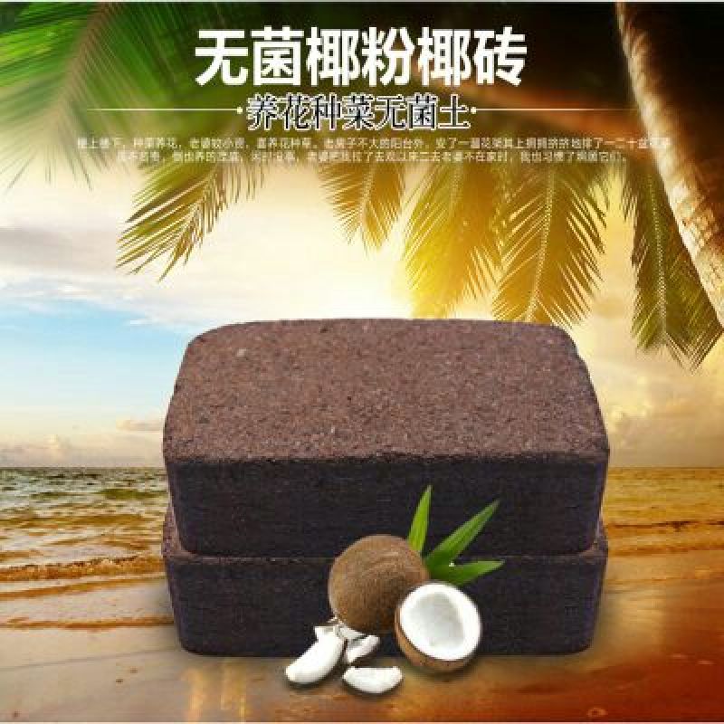 育苗基质椰砖线上交易椰砖多肉养花种菜育苗专用