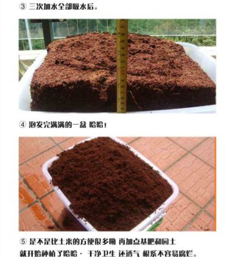育苗基质椰砖线上交易椰砖多肉养花种菜育苗专用