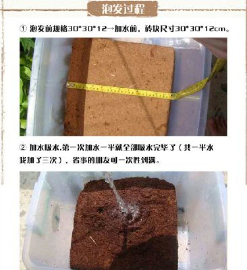 育苗基质椰砖线上交易椰砖多肉养花种菜育苗专用