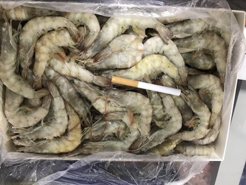 阿根廷红虾