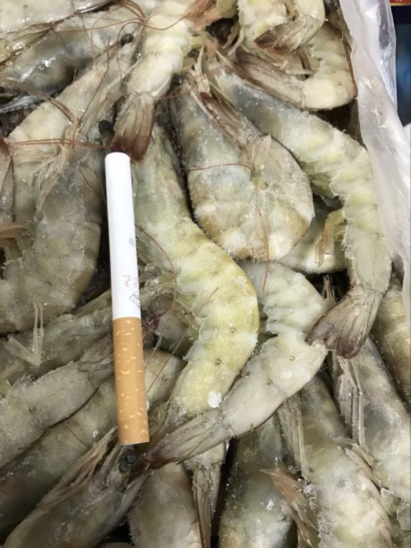 阿根廷红虾