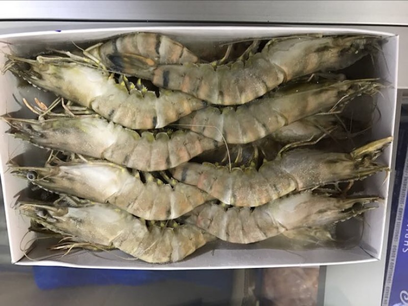 阿根廷红虾