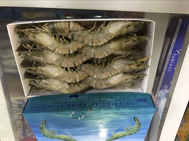 阿根廷红虾