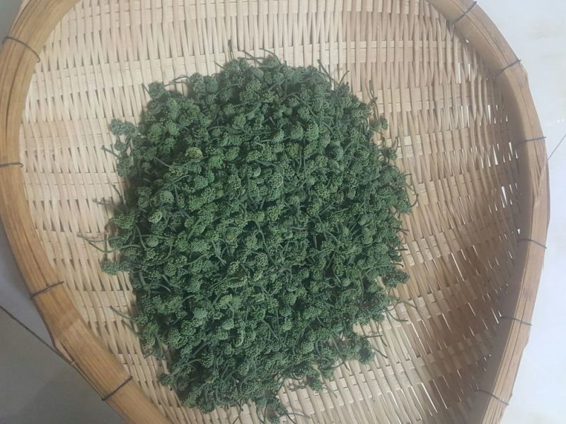 三七花带柄