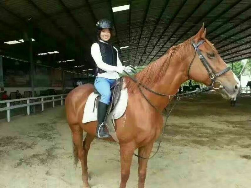 矮马100~200kg