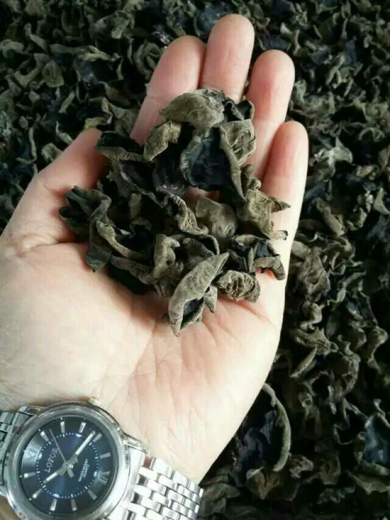 黑木耳一级