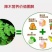 辣木茶特级