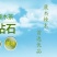 辣木茶特级