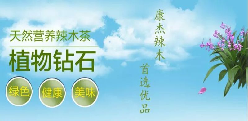 辣木茶特级