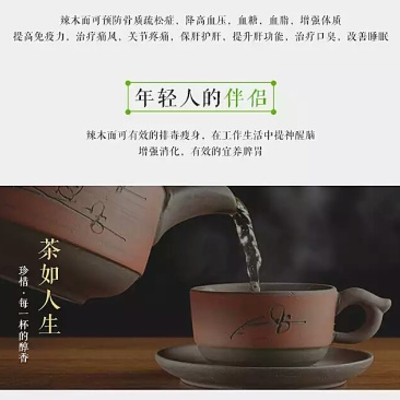 辣木茶特级