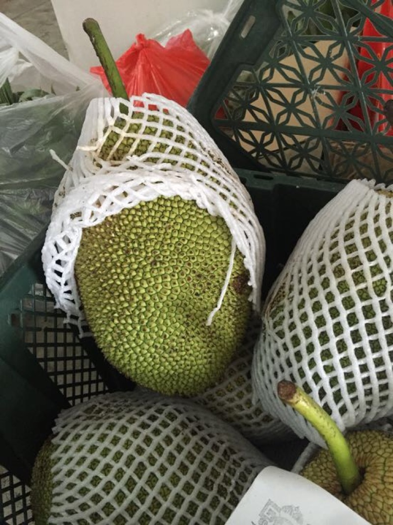 尖蜜拉