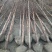 水杉4~6cm4~6cm4米以上