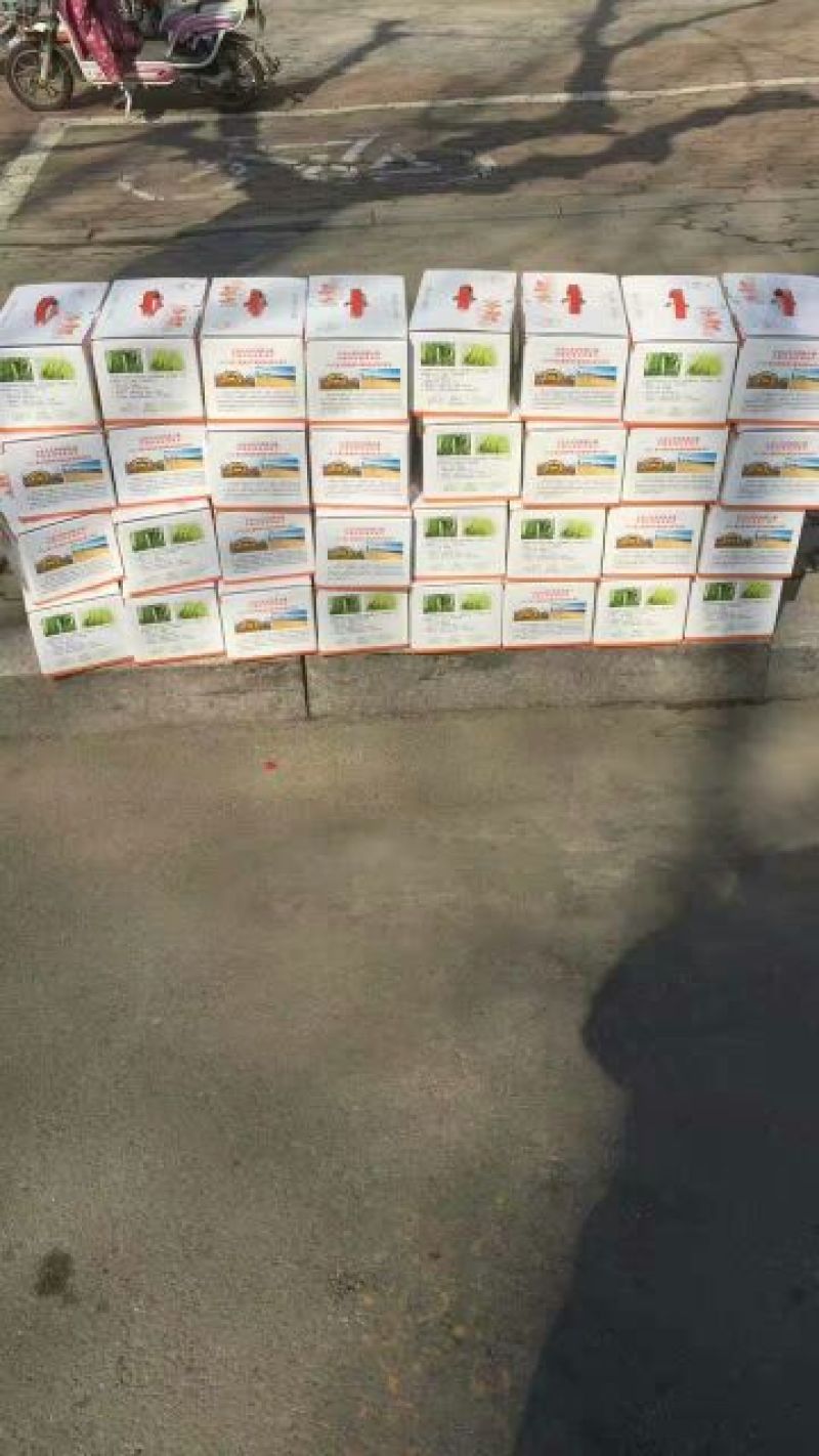 白黄瓜干花带刺18~22公分