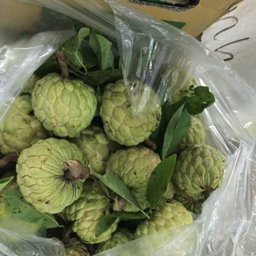 台湾释迦一级100g以下