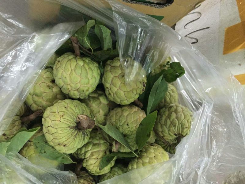 台湾释迦一级100g以下