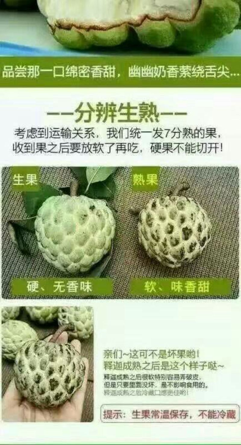 台湾释迦一级100g以下