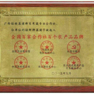 优质沃柑苗30~50cm优质沃柑苗30~50cm优质
