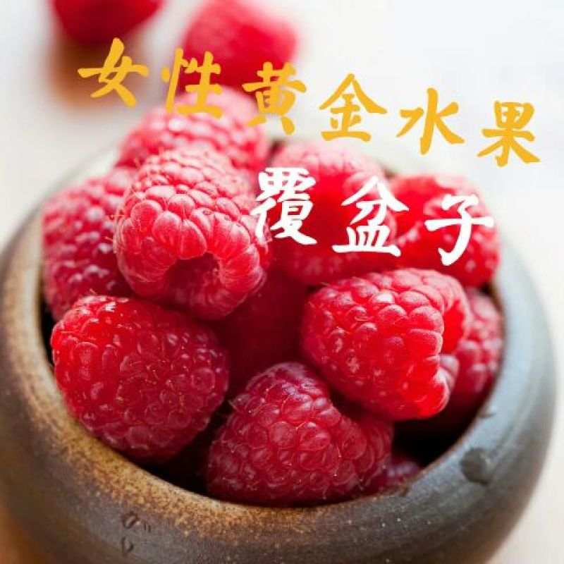覆盆子苗