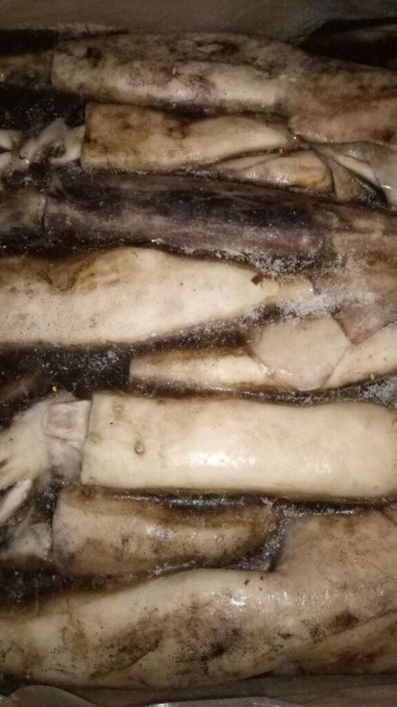 鱿鱼冻鱿鱼