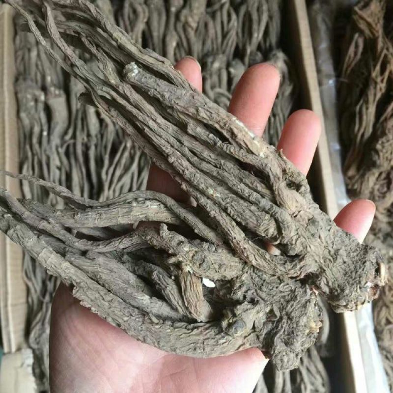 当归大