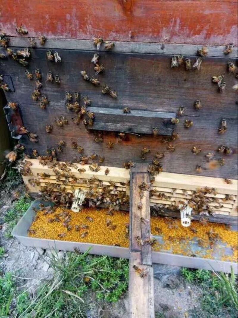 蜂蜜