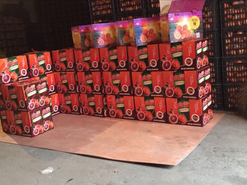 塔罗科血橙