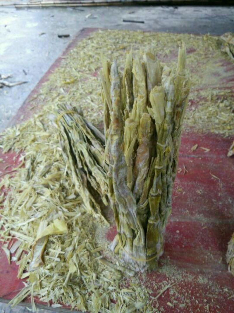 干笋