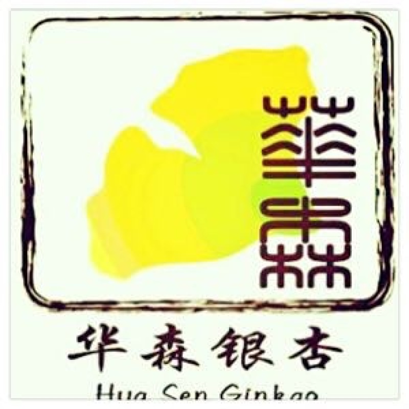 银杏树小苗，3-4-5-6-7-8，苗圃直接起树，