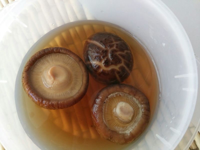【有好货】干香菇新货上市春菇光面菇金钱菇肉厚剪脚食用菌