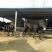 种驴500斤以上