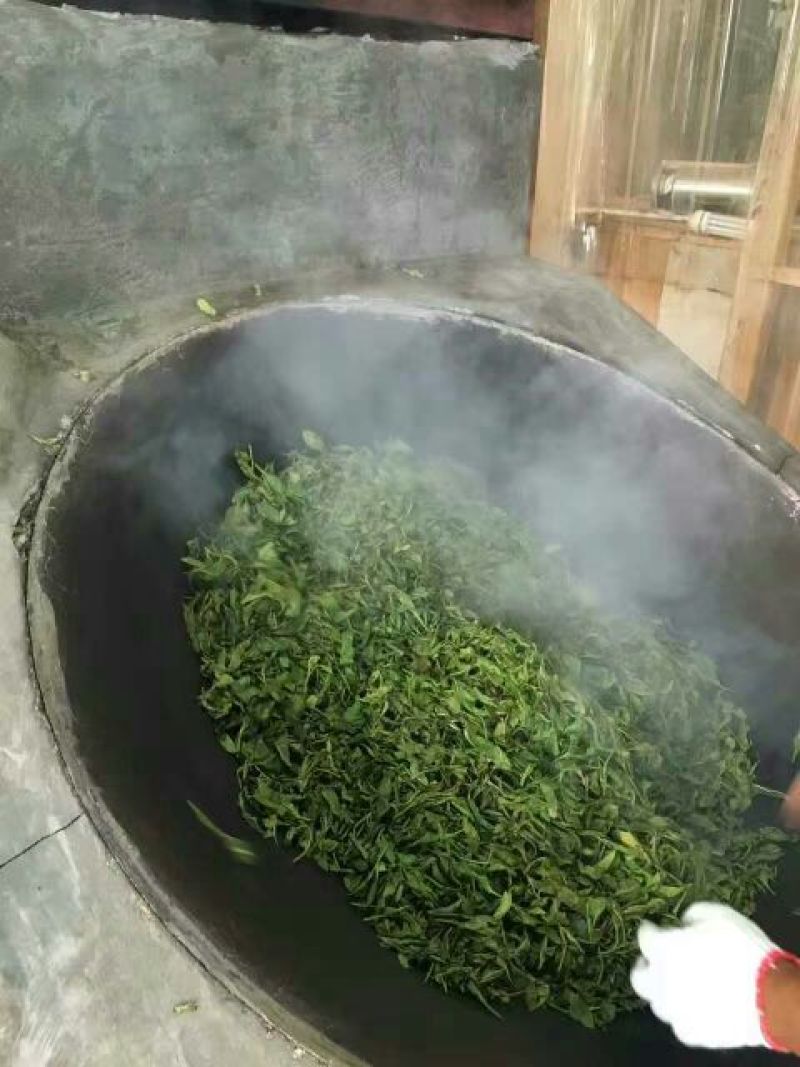 普洱茶