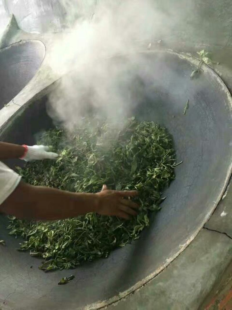 普洱茶