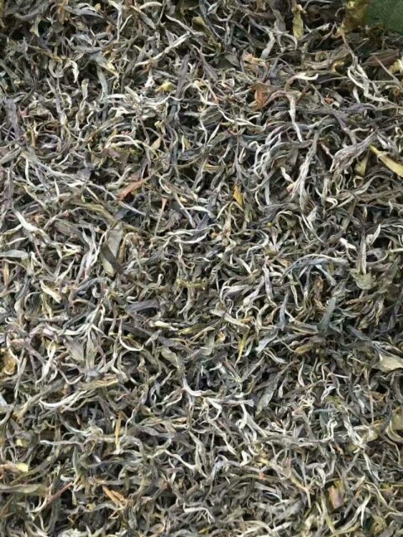 普洱茶