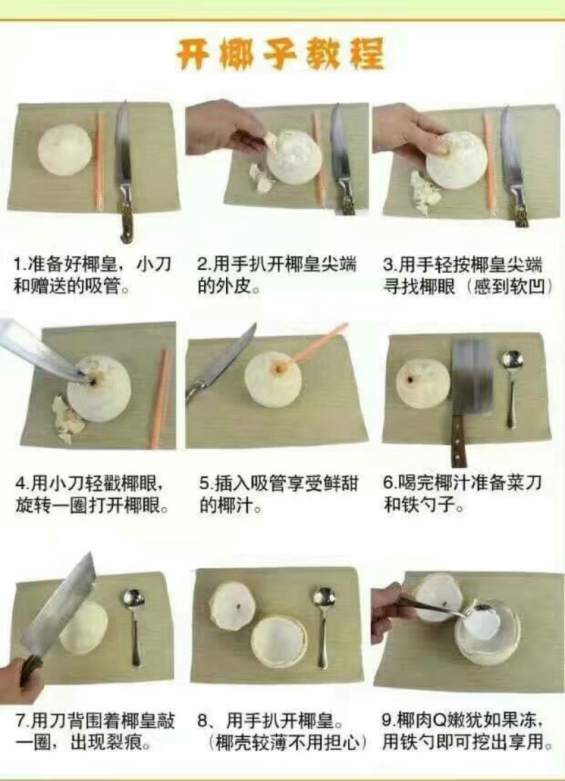 海南椰子1.5~2斤
