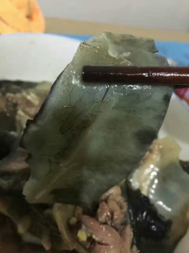 生态甲鱼1.5~2斤