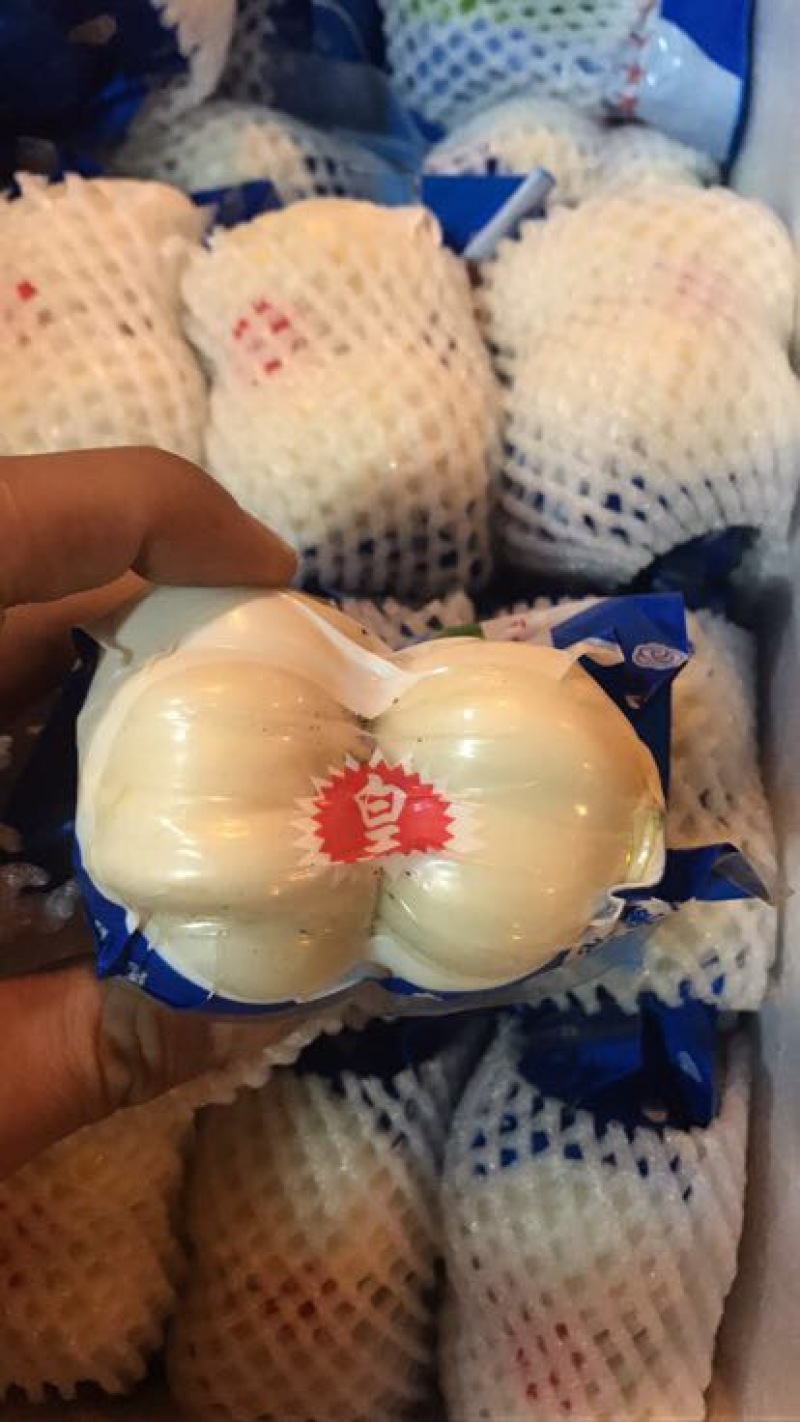 兰州百合四头食用