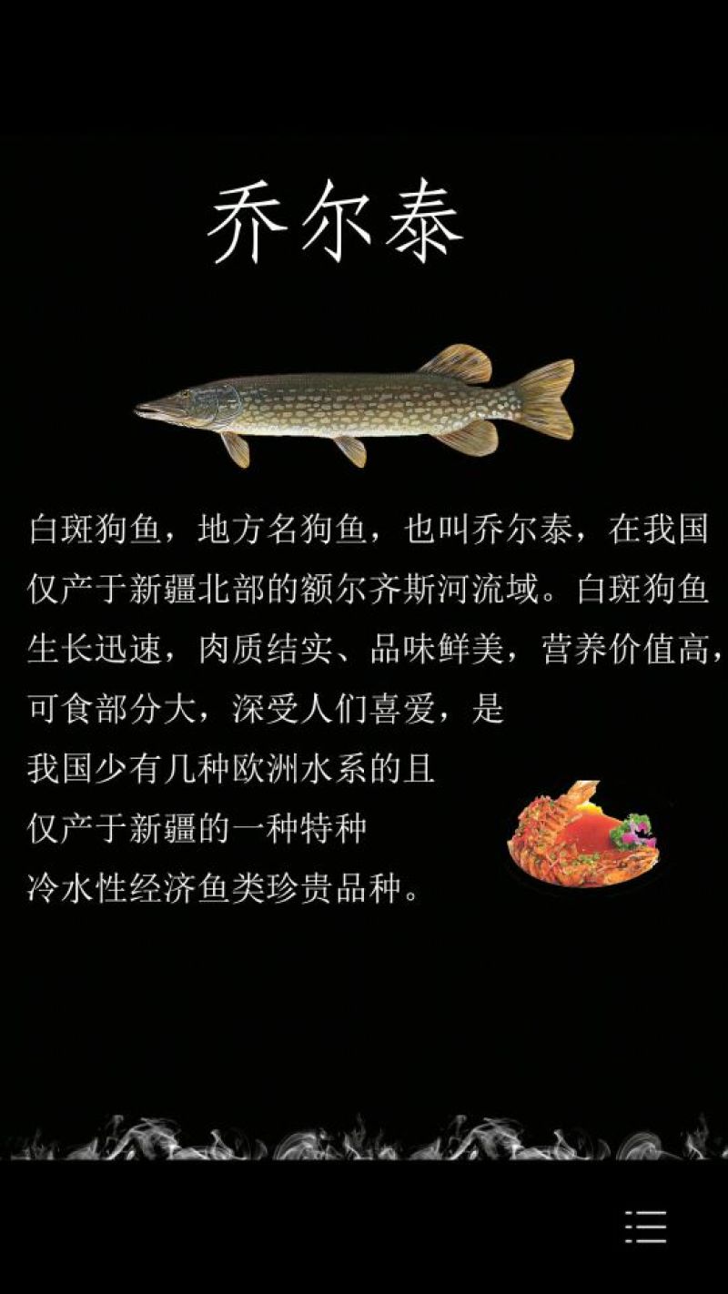 乔尔泰