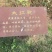 乌龙红茶特级