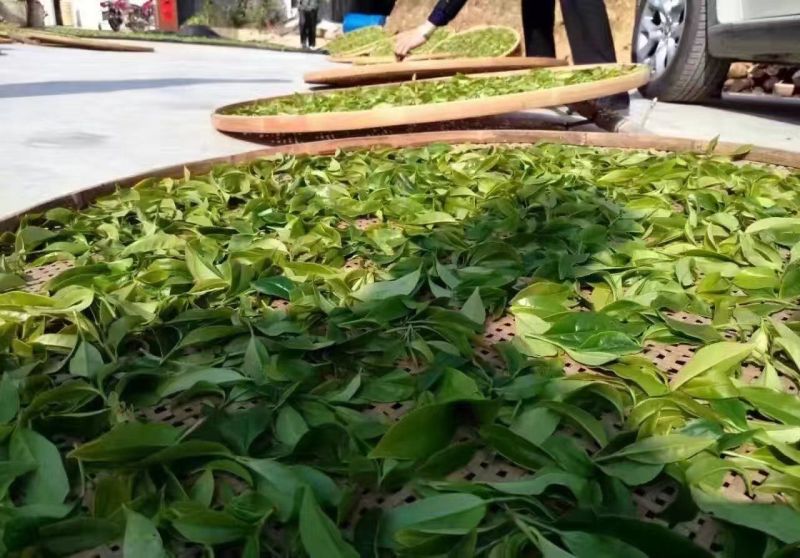 乌龙红茶特级