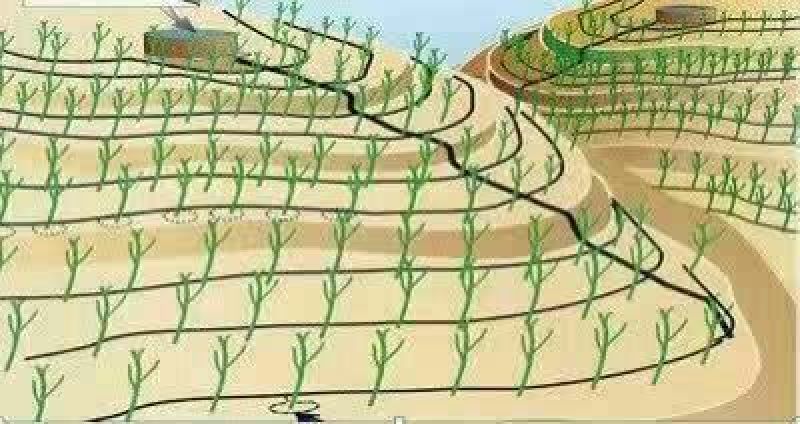 圆柱滴灌管