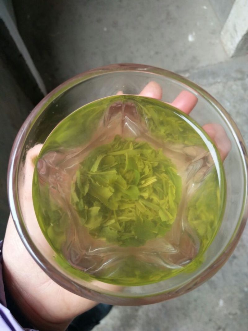 五峰绿茶