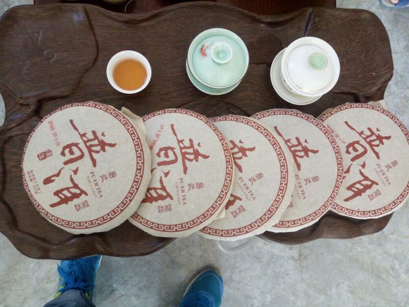 百年大树茶特级
