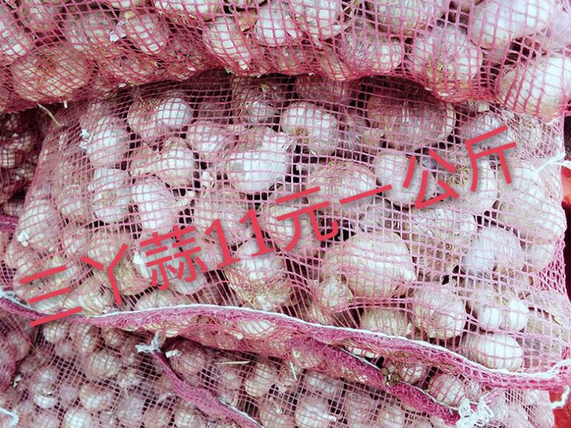 大蒜混级统货干蒜